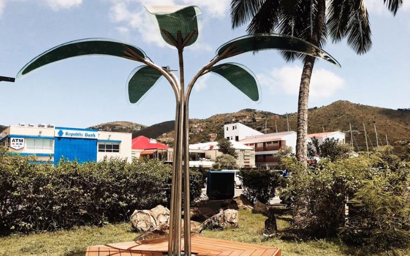 Solar tree Biofuel